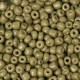 Seed beads 8/0 (3mm) Cactus green
